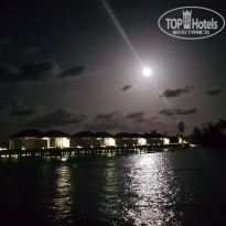 фото из отзыва ID 1786808