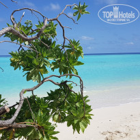 фото из отзыва ID 1786808