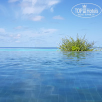 фото из отзыва ID 1786808