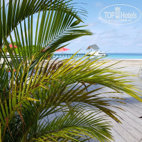 фото из отзыва ID 1786808