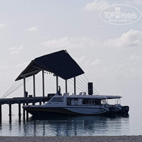 фото из отзыва ID 1786808