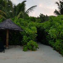 фото из отзыва ID 1786808