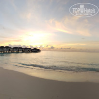 фото из отзыва ID 1786808