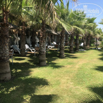 фото из отзыва ID 1786869