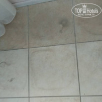 фото из отзыва ID 1784767