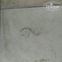 фото из отзыва ID 1784767