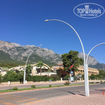 фото из отзыва ID 1786029