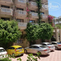 фото из отзыва ID 1787036