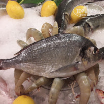 фото из отзыва ID 1786037