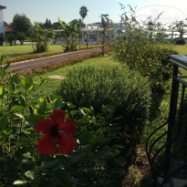 фото из отзыва ID 1787176