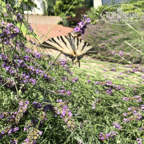 фото из отзыва ID 1787193