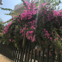 фото из отзыва ID 1787308