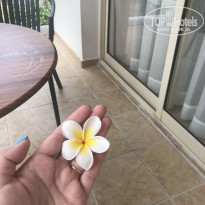 фото из отзыва ID 1787312