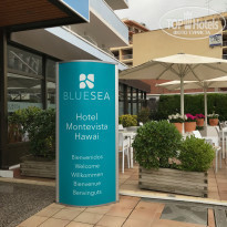 фото из отзыва ID 1787326