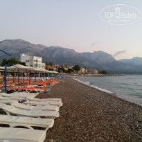 фото из отзыва ID 1787386