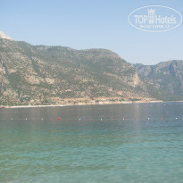 фото из отзыва ID 1787451