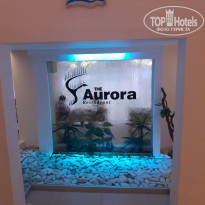 фото из отзыва ID 1787459