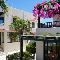 фото из отзыва ID 1787478