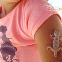 фото из отзыва ID 1787582