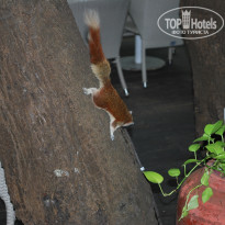 фото из отзыва ID 1787597