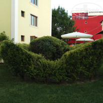 фото из отзыва ID 1787611