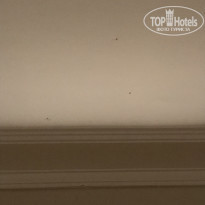 фото из отзыва ID 1787628