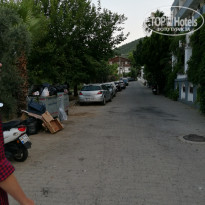 фото из отзыва ID 1787687