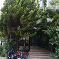 фото из отзыва ID 1787687