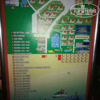 фото из отзыва ID 1787758