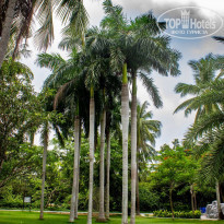 фото из отзыва ID 1787861