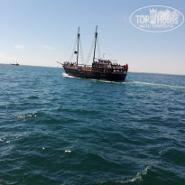 фото из отзыва ID 1787967