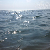 фото из отзыва ID 1788226