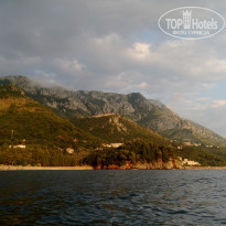 фото из отзыва ID 1788371