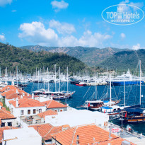 фото из отзыва ID 1788431