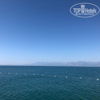 фото из отзыва ID 1788469