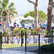 фото из отзыва ID 1788536