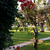 фото из отзыва ID 1788611