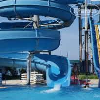 фото из отзыва ID 1788695