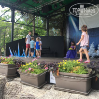 фото из отзыва ID 1788741