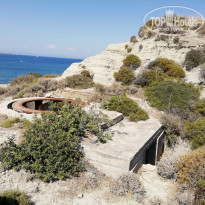 фото из отзыва ID 1788769