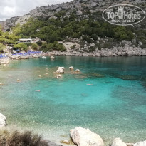 фото из отзыва ID 1788769