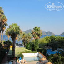 фото из отзыва ID 1788774