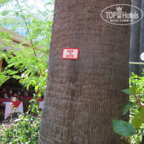 фото из отзыва ID 1788774