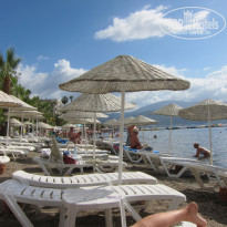 фото из отзыва ID 1788774