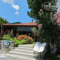 фото из отзыва ID 1788774