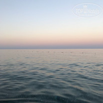 фото из отзыва ID 1788788