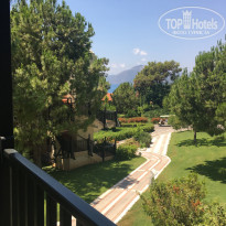 фото из отзыва ID 1788823