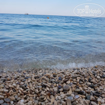 фото из отзыва ID 1789036