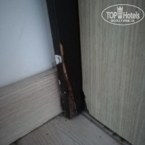 фото из отзыва ID 1789038