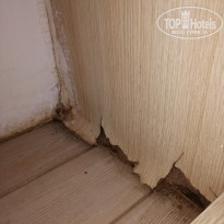 фото из отзыва ID 1789038